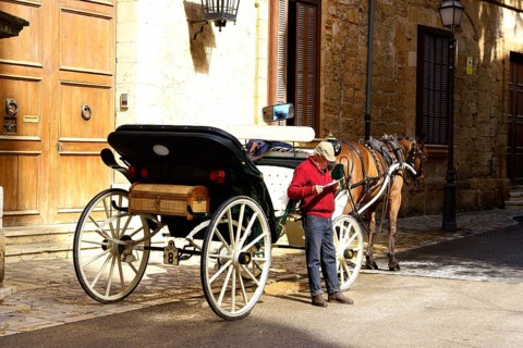 Horse-drawn carriage