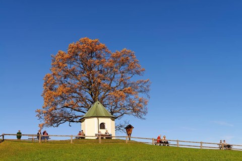 Chapel and Viewpoint above Torwang at Samerberg