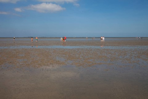Walkers in the mudflats