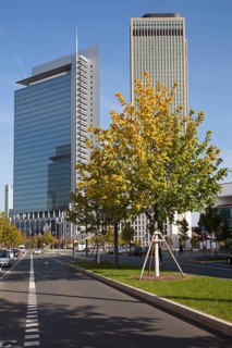 Office towers