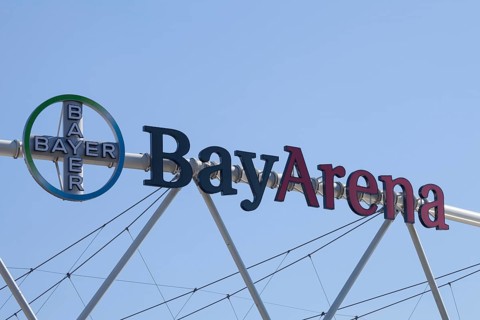 Bayer cross