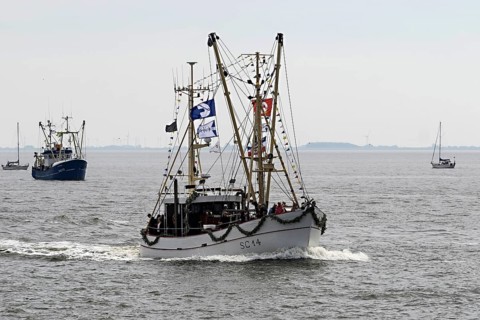 Festively decorated shrimp boats