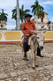 Man riding a donkey