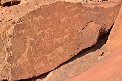 Neolithic petroglyphs of animals