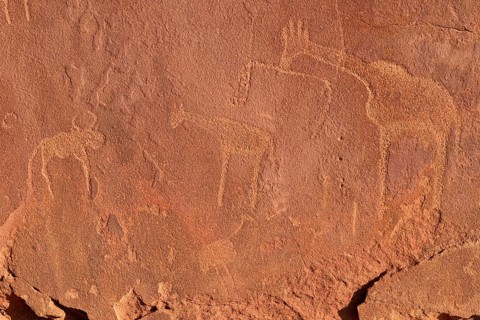 Neolithic petroglyphs of a giraffe