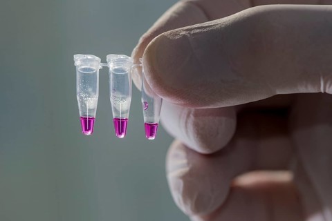PCR-Single caps for Polymerase Chain Reaction