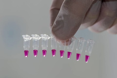 PCR-Single caps for Polymerase Chain Reaction