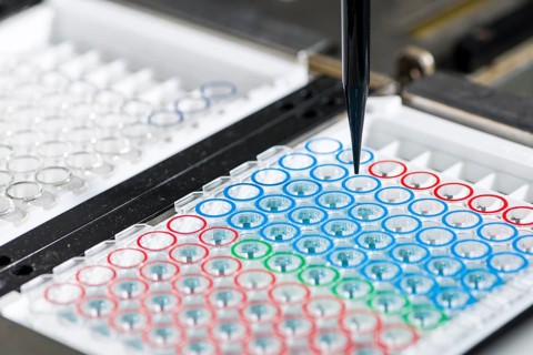 Small capillary tubes