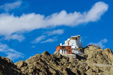 The monastery Namgyal Tsemo Gompa and Tsemo Fort on a mountain ridge