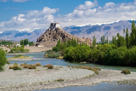 Stakna Gompa on a hill above the Indus Valley and surrounded by green trees