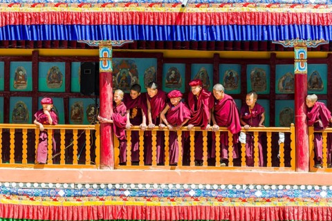 Young monks as spectators of the Hemis Festival
