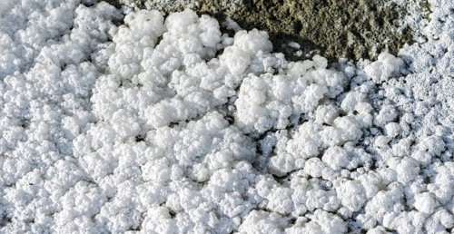 Salt crystals in different shapes are found at Tso Kar