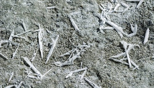 Salt crystals at Tso Kar