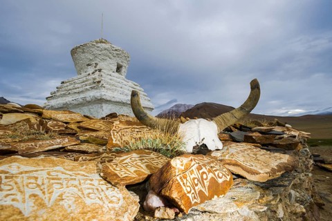 A yak skull with the engraved mantra "Om Mani Padme" Hum and Mani stones at a stupa at Tso Kar