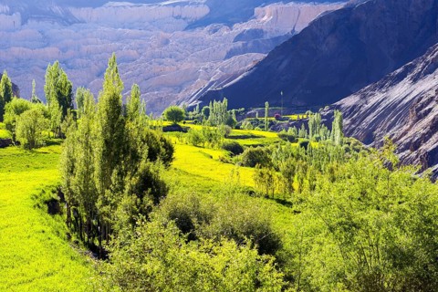 Barren landscape and green fields at the village Lamayuru