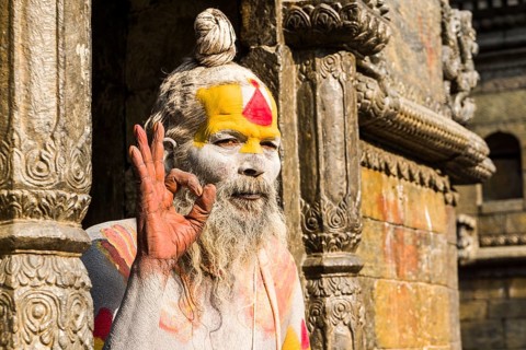The portrait of a Sadhu