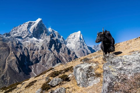 View of the mountains Cholatse and Tabuche Peak