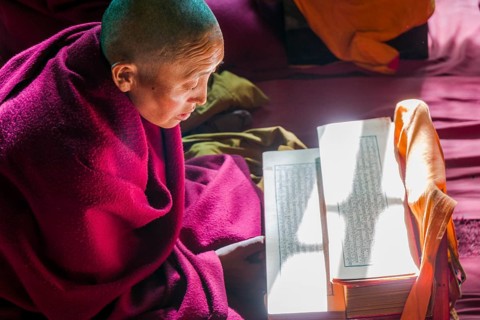 A monk is reading a prayer book inside the monastery Thupten Chholing Gompa