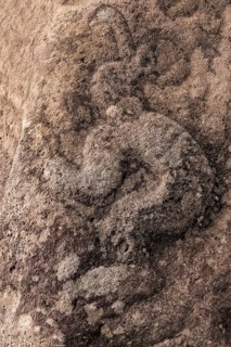 Birdman petroglyph
