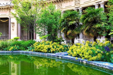 Petit Palais