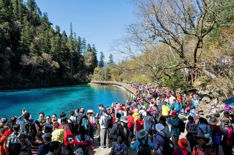 Five Color Pool