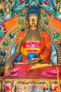 Statue inside a Buddhist temple