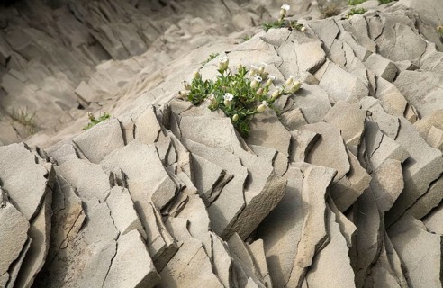 Basalt stones