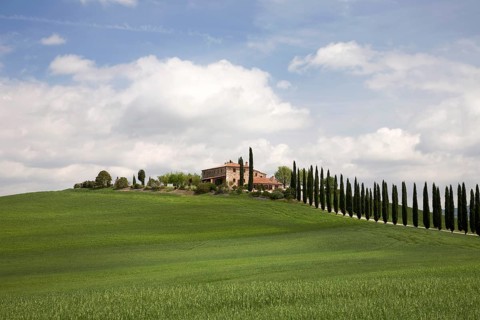 Cypress alley leads to a house near Castiglione d`Orcia