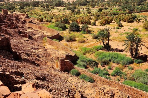 Ruins of the fortified trading post or Ksar with ramparts and oasis