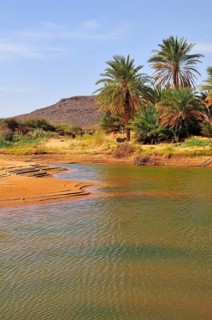 Waterhole in a Wadi or Oued