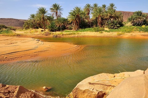 Waterhole in a Wadi or Oued