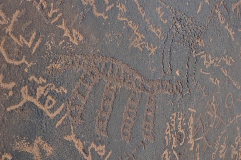 Stone Age petroglyphs and new graffiti in Arabic script