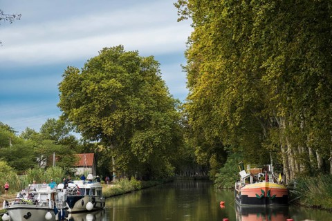 Houseboats moored on the Canal du Midi