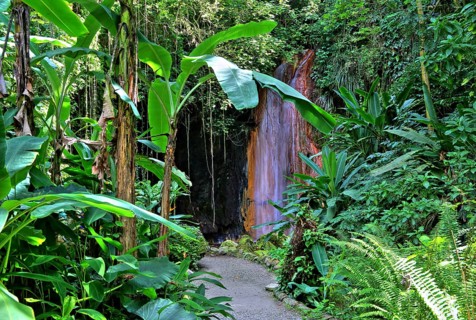 Diamond Waterfall in the Botanical Garden with tropical vegetation