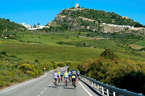 Cyclists on country road