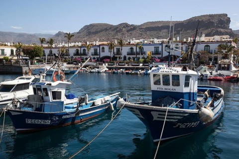 Fishing boats in the harbour