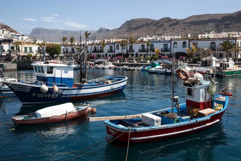 Fishing boats in the harbour