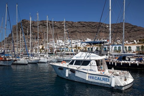 Yachts in the marina