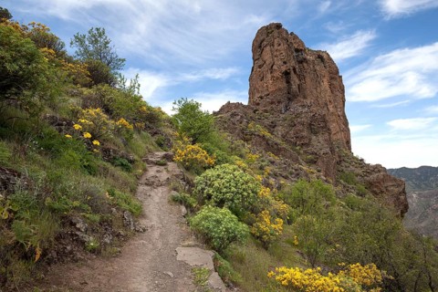 Roque Bentayga