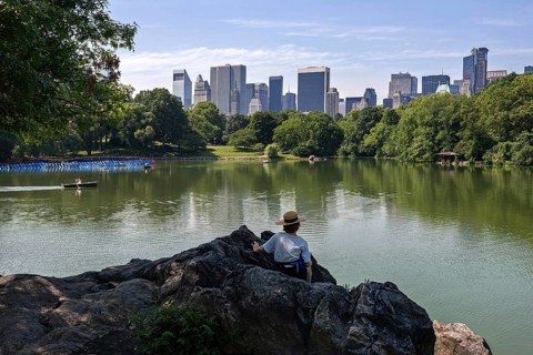 Lake in Central Park