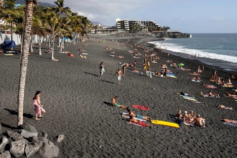 Lava beach with palm trees