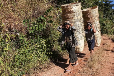 Young Palaung tribesmen carrying baskets in Kalaw