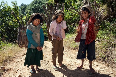 Girls from Palaung tribe carrying firewood
