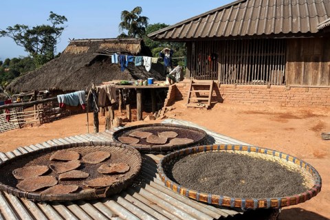Grain flatbread drying in the sun
