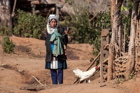 Local woman from the Akha tribe in typical clothes and typical headgear