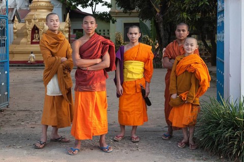 Young monks