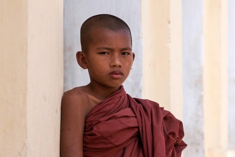 Young monk