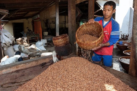 Local boy working in soybean paste processing