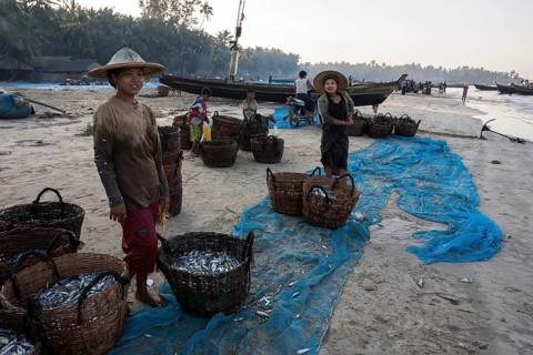 Native people standing around baskets of freshly caught fish on the beach of the fishing village Ngapali