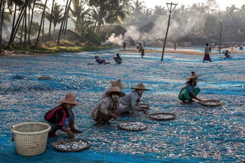 Local women wearing straw hats and Thanaka paste on their faces